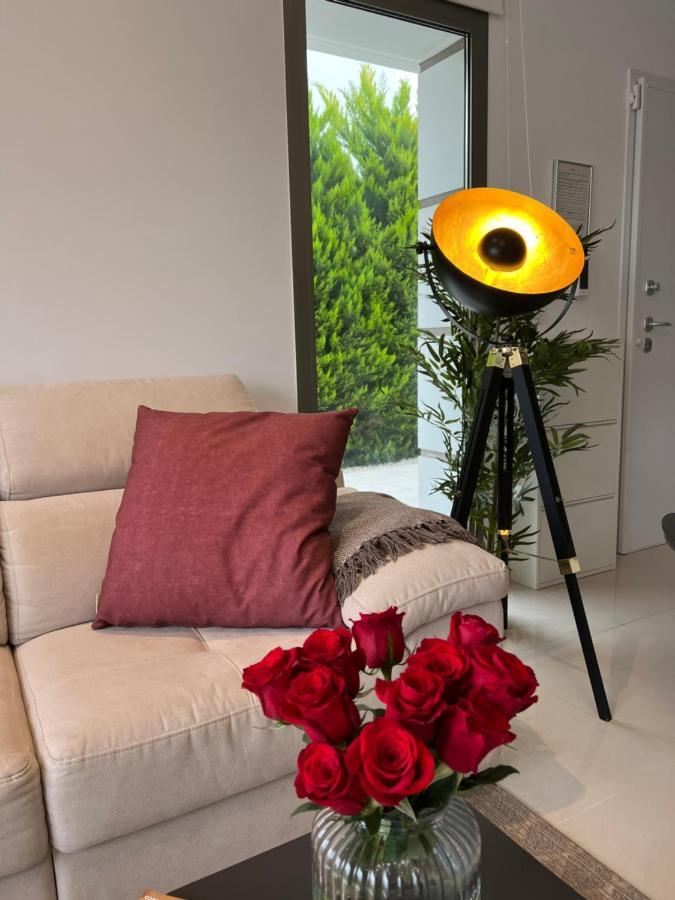 Luxury Villa4You ロス・アルカサレス エクステリア 写真